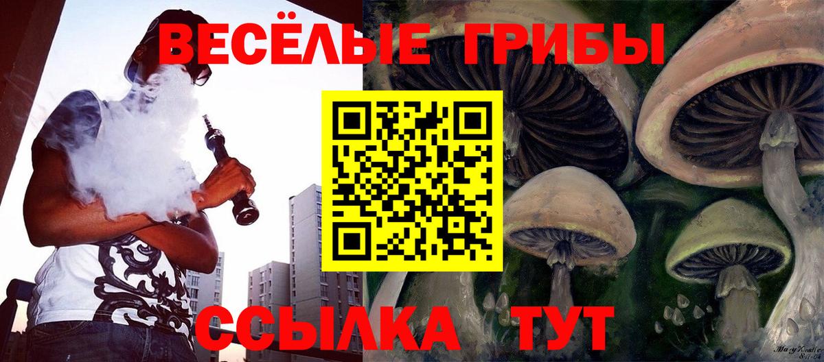 Псилоцибиновые грибы Magic Shrooms Вологда