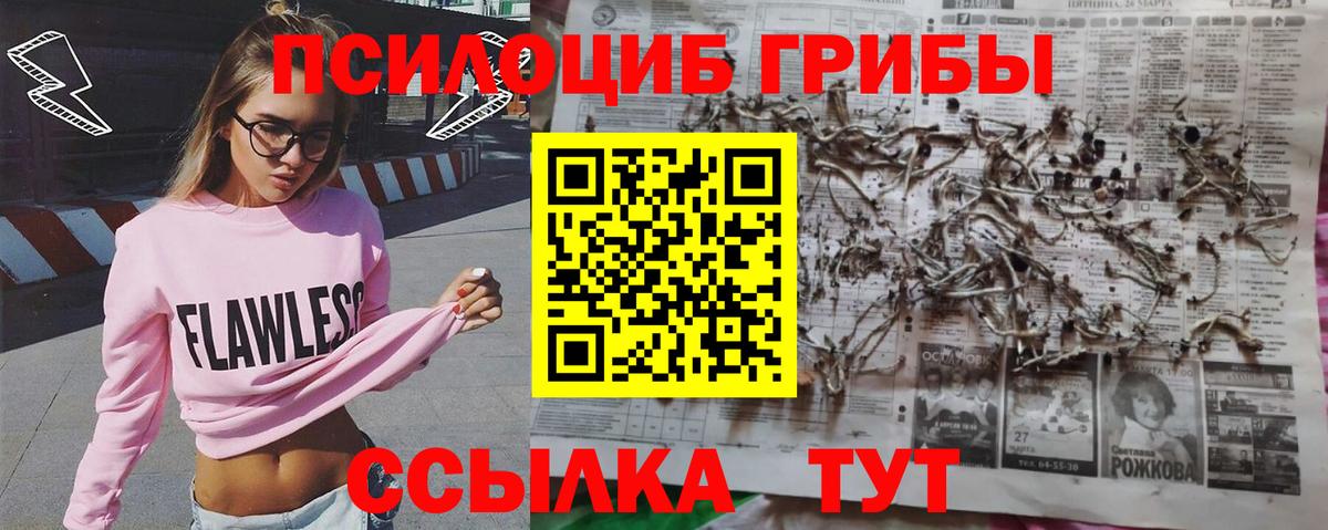 Вологда  Галлюциногенные грибы мухоморы  Вход с VPN 
